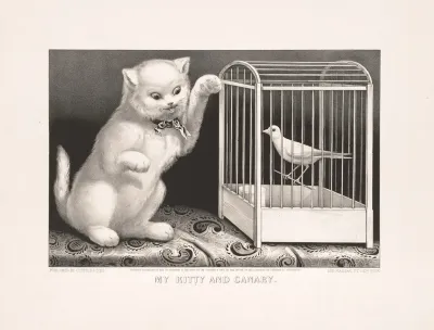 My Kitty And Canary
