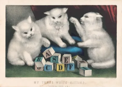 My Three White Kitties Learning Their A B C