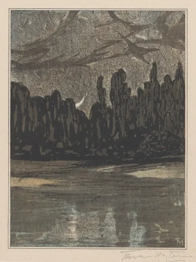 Nachtelijk Landschap Met Trekvogels