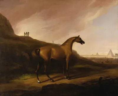 Napoleons Horse