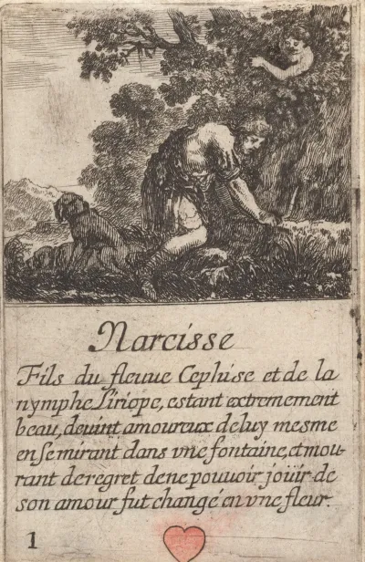 Narcisse 5