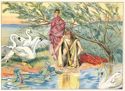 Narcissus 6