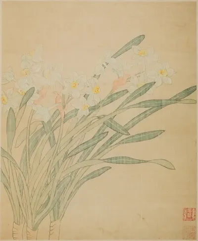 Narcissus 8