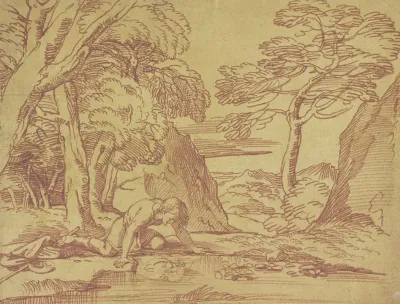 Narcissus Betrachtet Sein Spiegelbild In Der Quelle