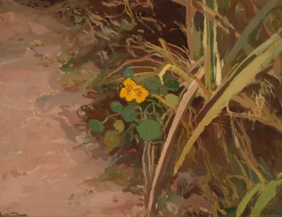 Nasturtiums Solitary
