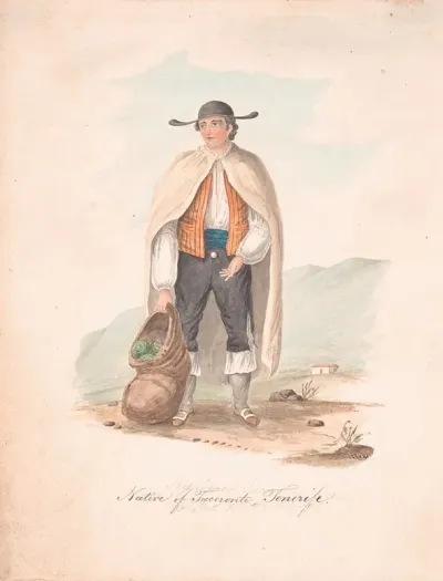 Native Of Tacocronte Tenerife
