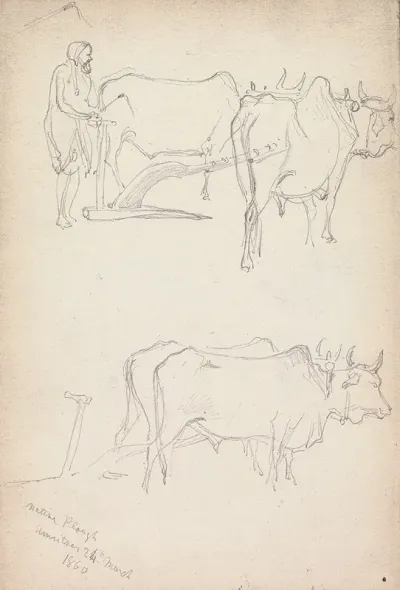 Native Plough Amritsar 24 March 1860