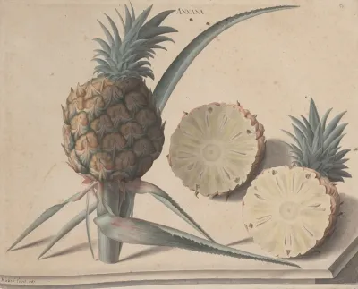 Natural History Of Saint Domingue Pl 183