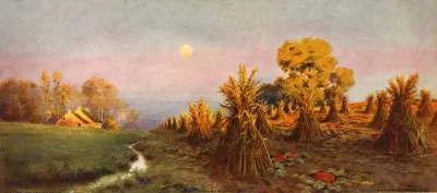 Natures Bounty