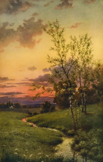Natures Harmony