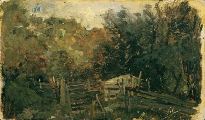 Naturstudie Aus Goisern Waldlandschaft