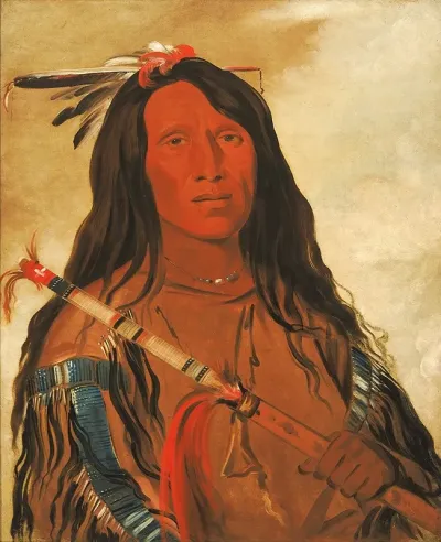 Ne Hee O Ee Woo Tis Wolf On The Hill Chief Of The Tribe