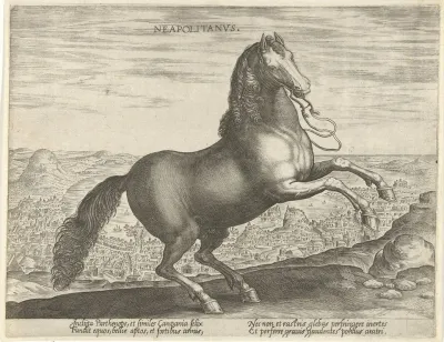 Neapolitanus