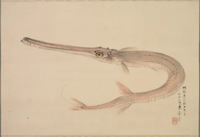 Needlefish Yagara