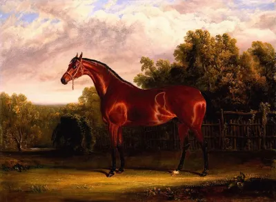 Negotiator A Bay Horse In A Landscape
