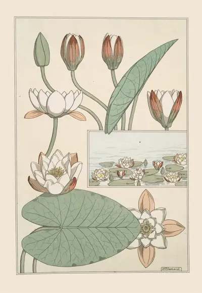 Nenuphar
