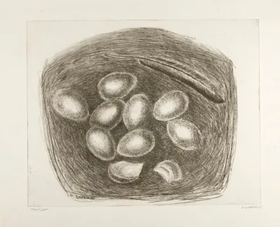 Nest With Eggs