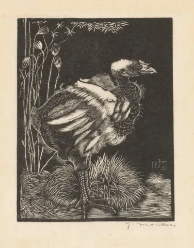 Nestkuiken