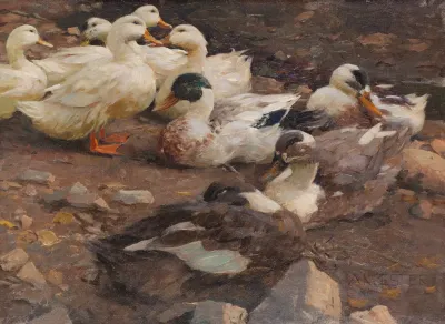 Neun Enten Am Teichufer