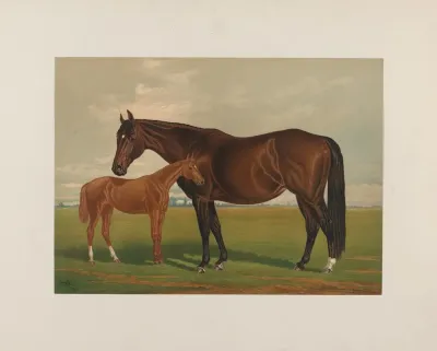 Nevada