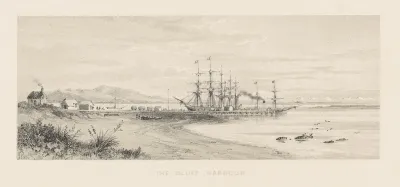 New Zealand Graphic And Descriptive Plate V The Bluff Harbour