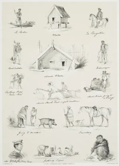 New Zealand Graphic And Descriptive Plate Vi Scraps From My Sketchbook