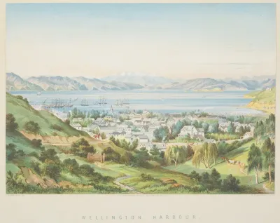 New Zealand Graphic And Descriptive Wellington Harbour