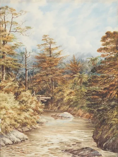 New Zealand River Scene