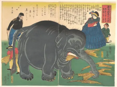 Newly Imported Great Elephant Shinto Hakurai No Daizo