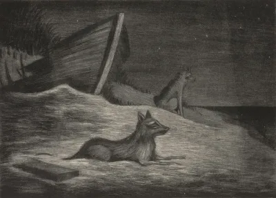 Night Scene Of Shoreline With Two Wolves