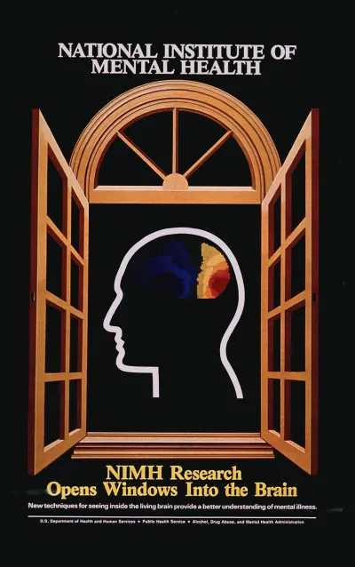 Nimh Research Opens Windows Into The Brain