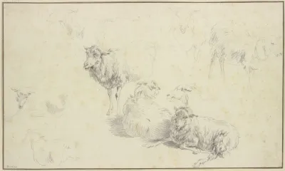 Nine Sheep