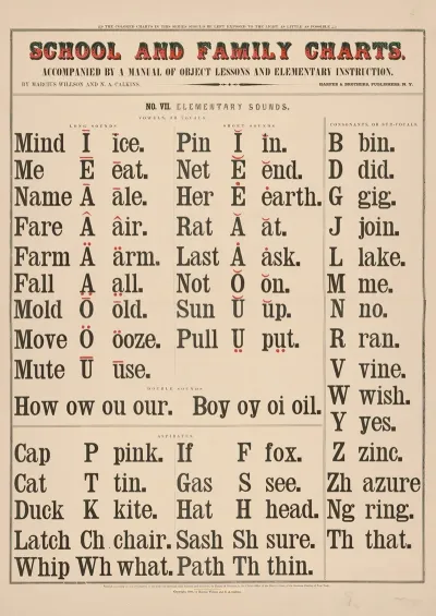 No Vii Elementary Sounds