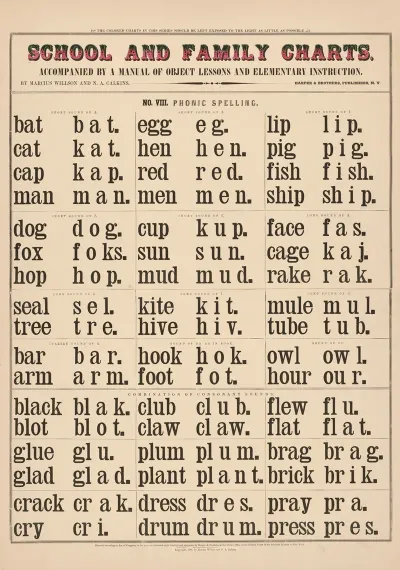 No Viii Phonic Spelling
