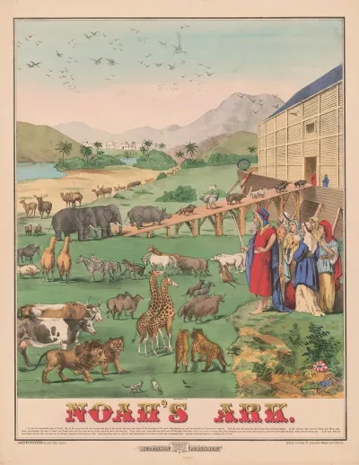 Noahs Ark 7