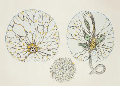Noctiluca Scintillans
