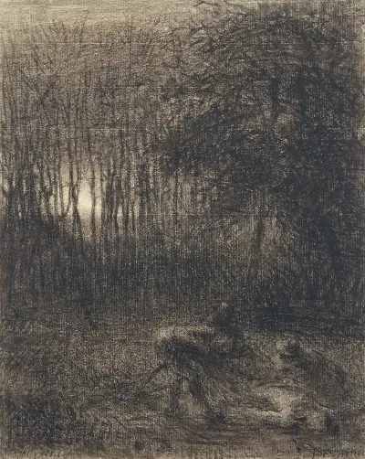 Nocturnal Scene In A Forest