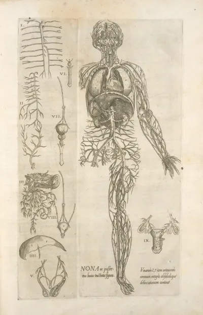 Nona Ac Postrema Huius Tractatus Figura