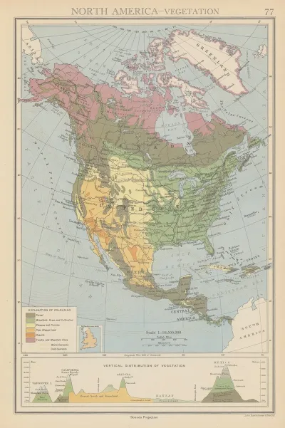 North America Vegetation