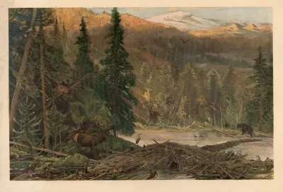 North American Coniferous Forest