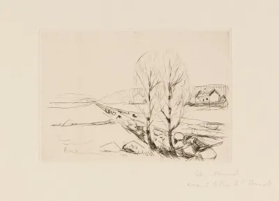 Norwegische Landschaft