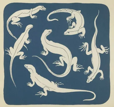Nouvelles Images A Colorier Reptiles Pl 11