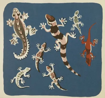 Nouvelles Images A Colorier Reptiles Pl 12