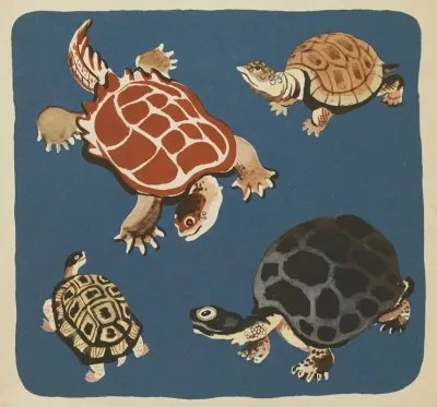 Nouvelles Images A Colorier Reptiles Pl 16