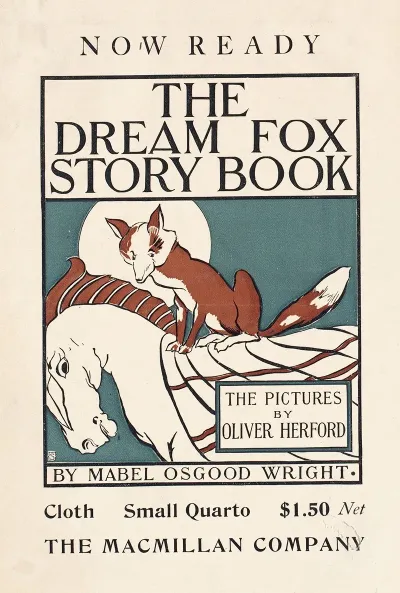 Now Ready The Dream Fox Story Book