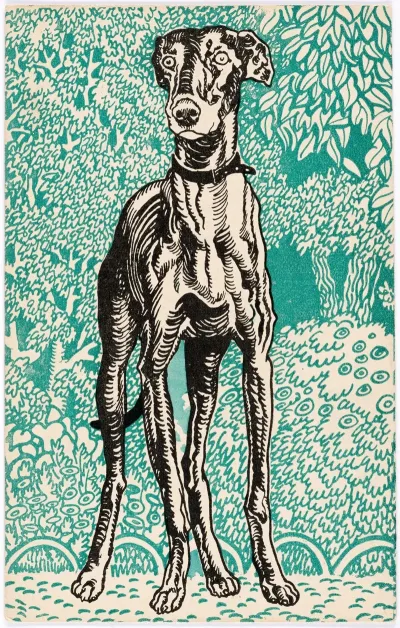 Nr 678 Windhund