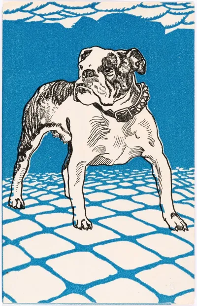 Nr 680 Bulldogge