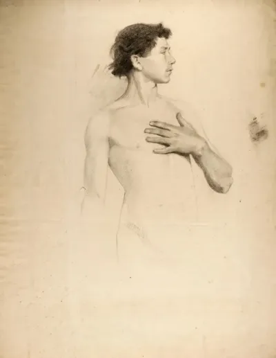 Nude Boy Torso And Head