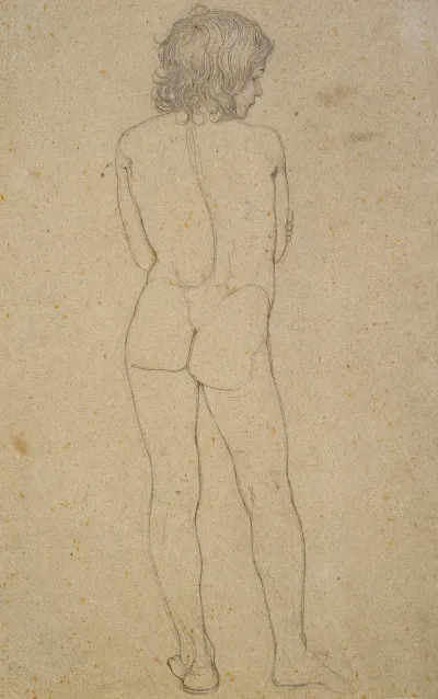 Nude Of A Boys Back