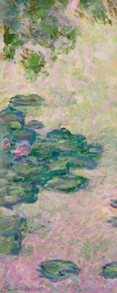 Nympheas Fragment